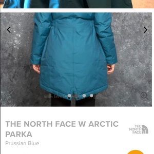 EUC North Face Arctic Parka (L)